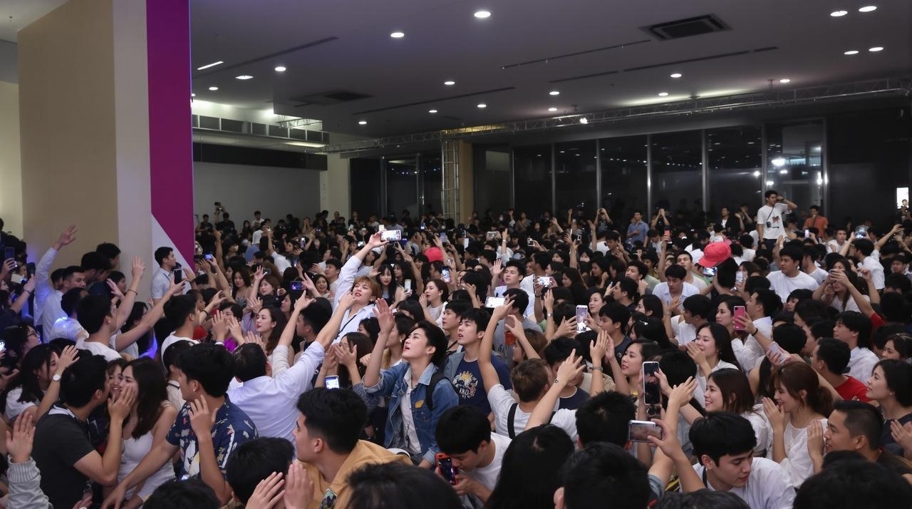 猫咪视频2026年度影迷见面会
